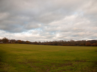 Fototapeta premium empty grass land plain country no people green cloudy sky