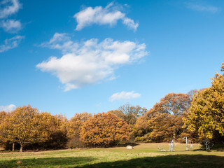Fototapeta na wymiar empty autumn grass and tree landscape sky clouds