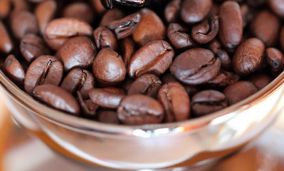 Espresso beans in a grinder. Close up shot. Macro.