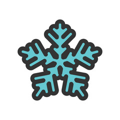 Winter Icon Filled Color