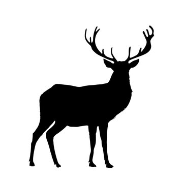 Black silhouette of reindeer with big horns isolated on white background.