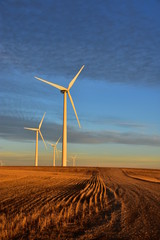 Wind turbines producing clean renewable energy in North Dakota.
