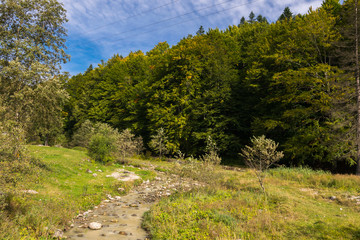 Fototapeta na wymiar Walking from Busteni to Diham Cottage, Busteni, Bucegi National Park, Southern Carpathians Mountains, Transylvania, Romania