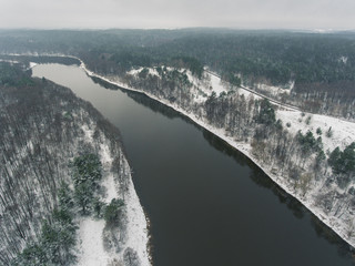 Aerial view over the snowy pine tree forrest in the valley. Winter season with cloudy sky.