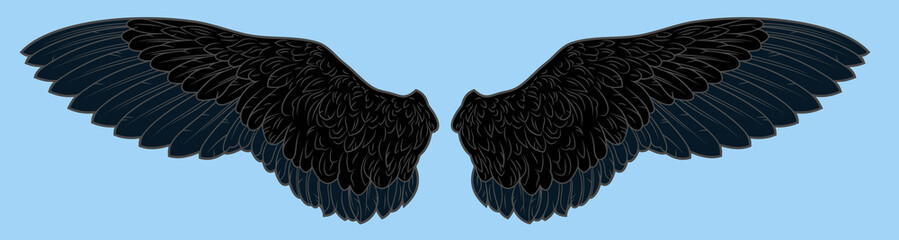 Picture of bird's wings
