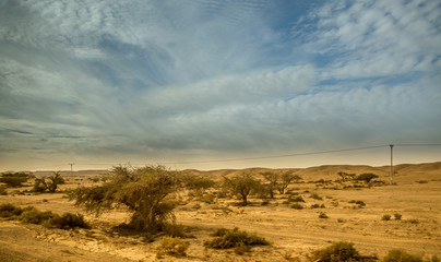 The Negev Desert. Landscape of the desert. Journey.