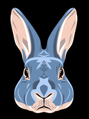 Image of a rabbit 