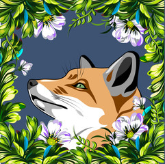fox sitting in a thicket of poppies and daisies