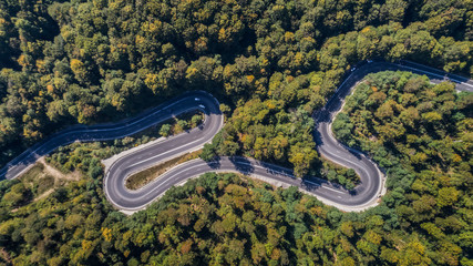 Curved road trough the forest