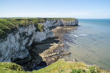 Flamborough, Yorkshire, UK. Chalk sea cliffs to the north of Flamborough Head.