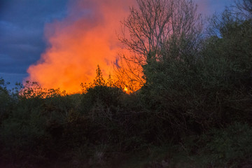 Gorse fire in Ireland