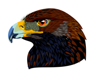 Portrait of an eagle