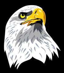 Portrait of an eagle
