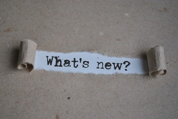 What's new? - obrazy, fototapety, plakaty