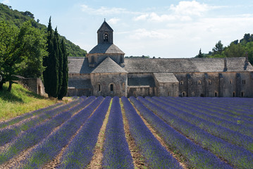 Kloster abbaye de Senanque