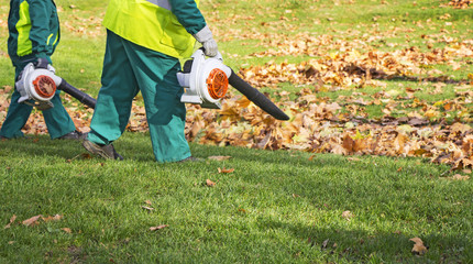 Workers cleaning fallen autumn leaves with a leaf blower