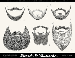 Vector set with beards and mustaches. Hand drawn illustration with fashionable men's styles. Linear Graphics. Kinds and names of beards