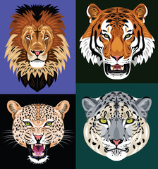 set of images lion, tiger, leopard, leopard