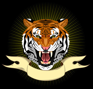 Portrait of a growling tiger on a banner background