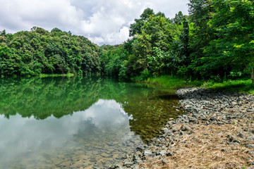 Fototapeta premium Irrigation pond