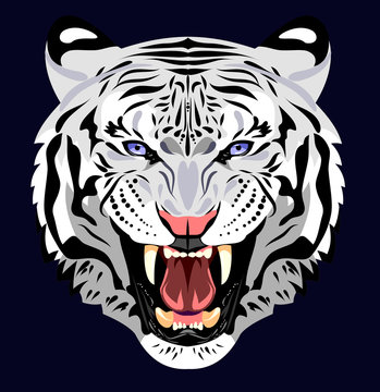 Portrait of a Ragged Tiger