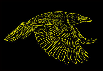 Fototapeta premium Portrait of a raven flying in the style of engravings (doodle)
