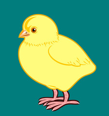 A cute little fluffy yellow chicken. Children's themes