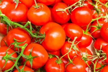 tomates