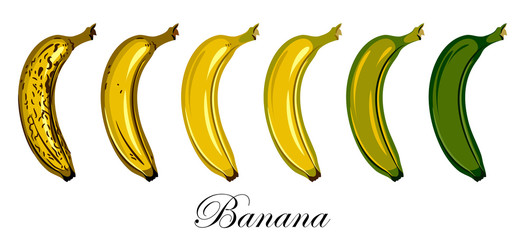 Fruits of a banana of different degree of ripeness