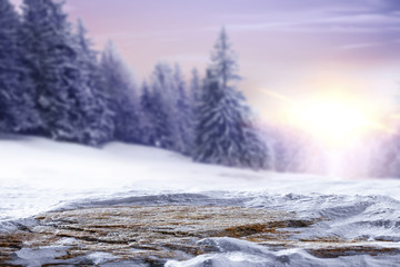 winter time and background of free space 
