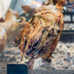 A whole lamb being roasted on a fire