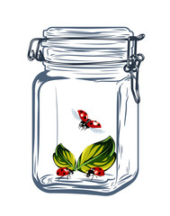 Ladybugs in a glass jar