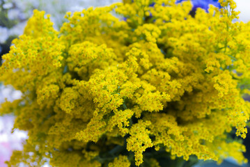 Flower arranging in social reunion baby shower in Guatemala