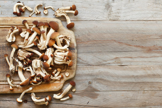 Agrocybe aegerita mushrooms (Pioppino)
