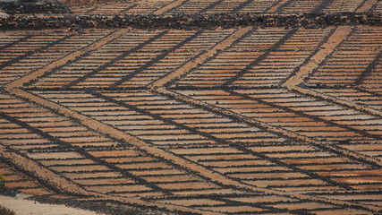 Salinas de Janubio, Yaiza, Gran Canaria