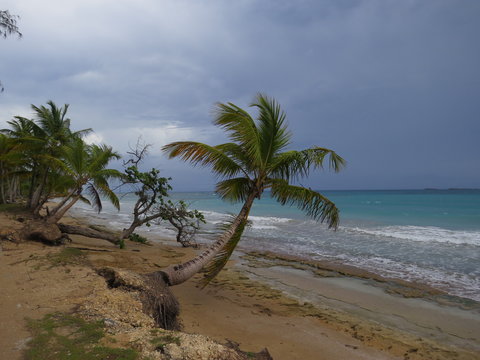Playa Bonita - Las Terrenas - Samaná - Dominican Republican