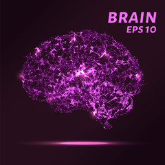 The brain is composed of points, lines and triangles. The polygon shape in the form of artificial intelligence on a dark background. Vector illustration. Graphic concept of the brain