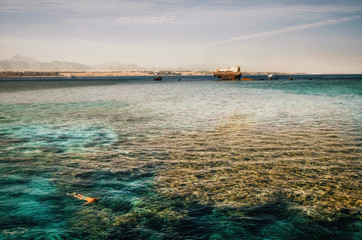 Obraz premium Woman snorkeling beside of shipwreck at Gordon Reef in the Tiran straits, in the Red Sea, near Sharm el Sheikh. Red Sea, Sinai Peninsula, Egypt