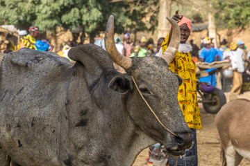 Tireli village market. Colorful market scene, Dogon Region, Mali