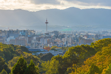 Japan, Kyoto Autumn beautiful maple tree with colorful autumn leaves