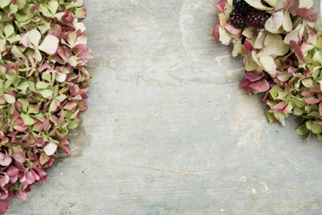 background: garland (wreath) made of ortensia flowers (Hydrangea), colorful because they are picked...