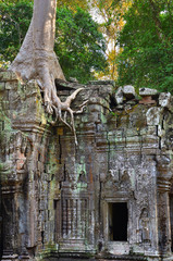 Fototapeta na wymiar Ta Prohm temple, Angkor Wat, Cambodia