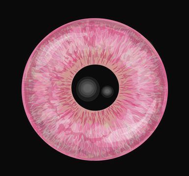 Pink eye iris isolated on white background