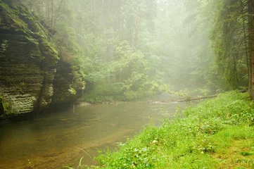 Foto auf Acrylglas Fluss bei Regen und Nebel © ondrej83
