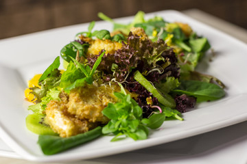 Green Salad with different lettuce with Orange Chicken and Kiwi on White Porcelain Plate close up
