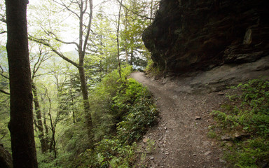 Alum Cave Trail