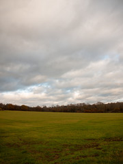 Obraz premium empty grass land plain country no people green cloudy sky