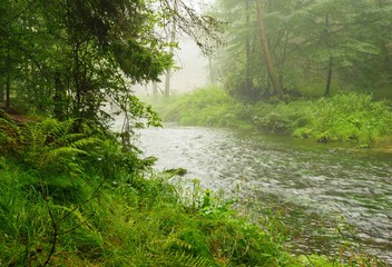 Fototapeta na wymiar River in rain and fog