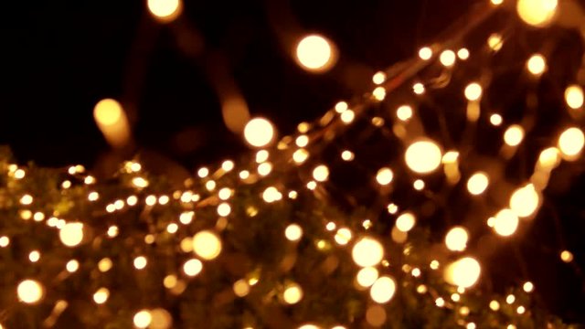 Lights on the tree. Blured lights close-up.