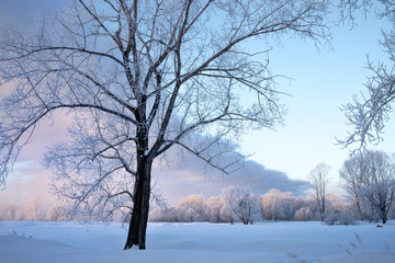 Fototapeta na wymiar Snowy frozen landscape of sunrise on lakeside with trees